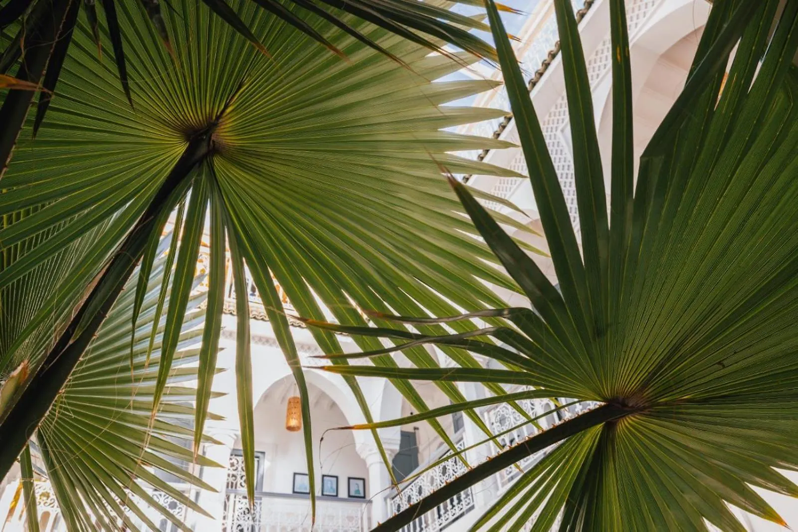 Alojamento de Acomodação e Pequeno-almoço Nelia Marrakech, Riad Collection Marraquexe
